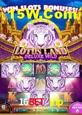 Casino VIP 16Bet Vip